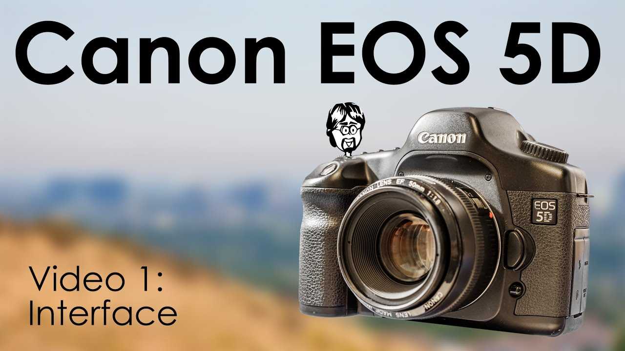 canon 5d instruction manual