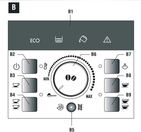 delonghi magnifica xs instruction manual