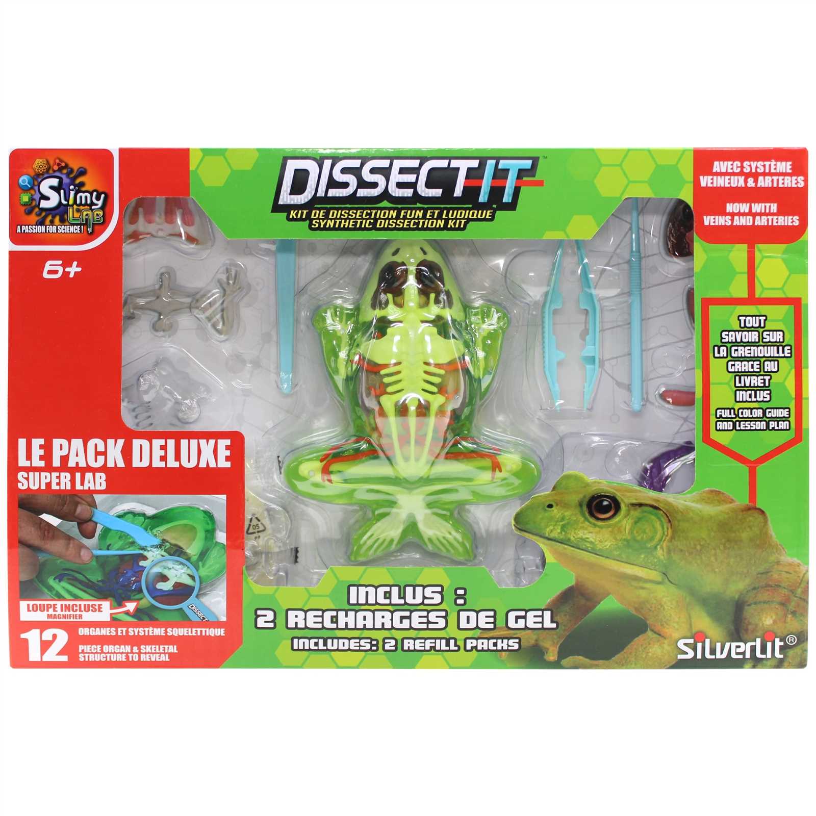 dissect it frog instruction manual