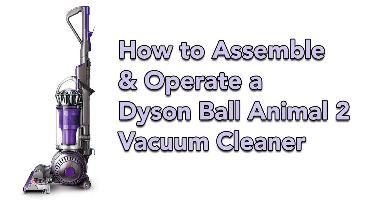 dyson animal instruction manual