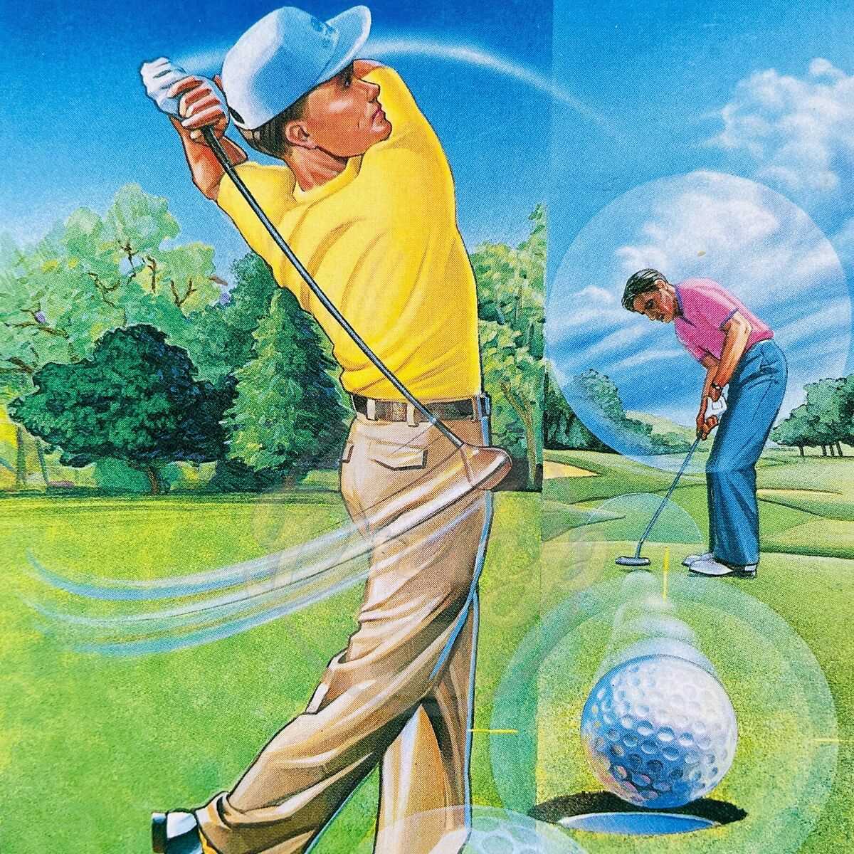 game golf instruction manual