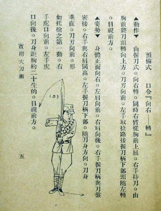 kung fu instruction manual