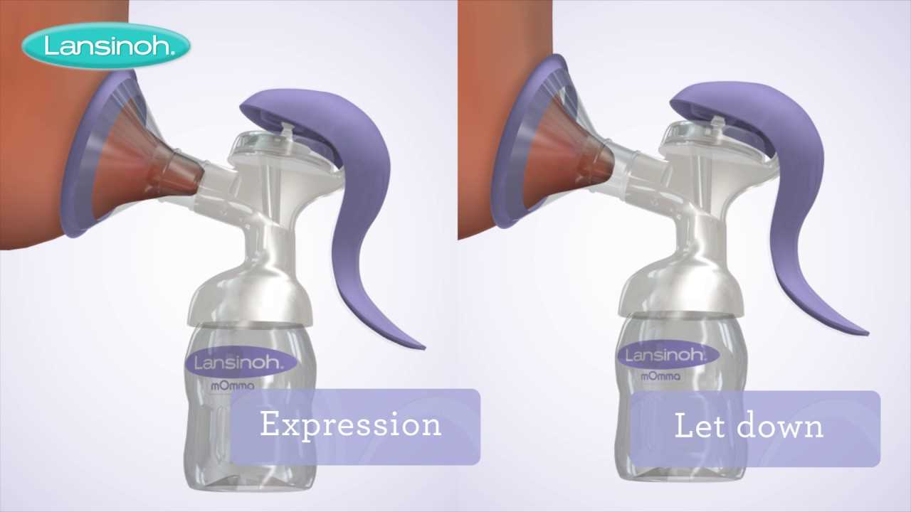 lansinoh manual breast pump instructions