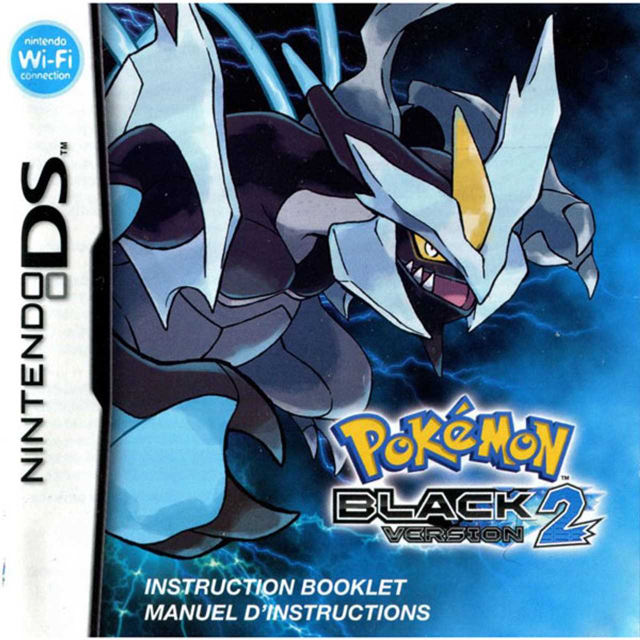 nintendo ds instruction manual