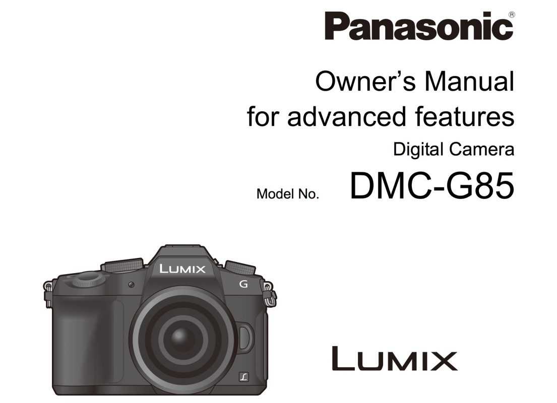 panasonic lumix instruction manual