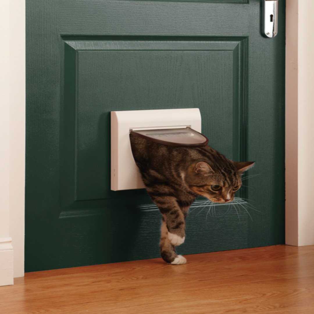 petsafe cat flap instruction manual