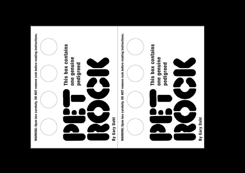 printable pet rock instruction manual