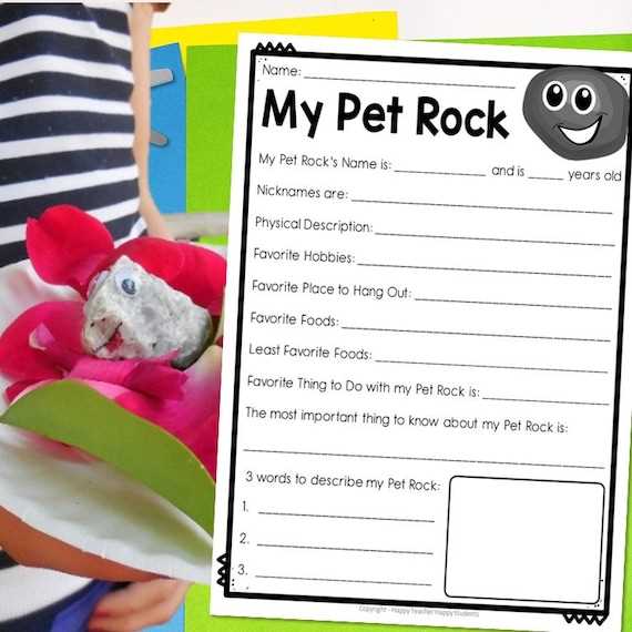 printable pet rock instruction manual