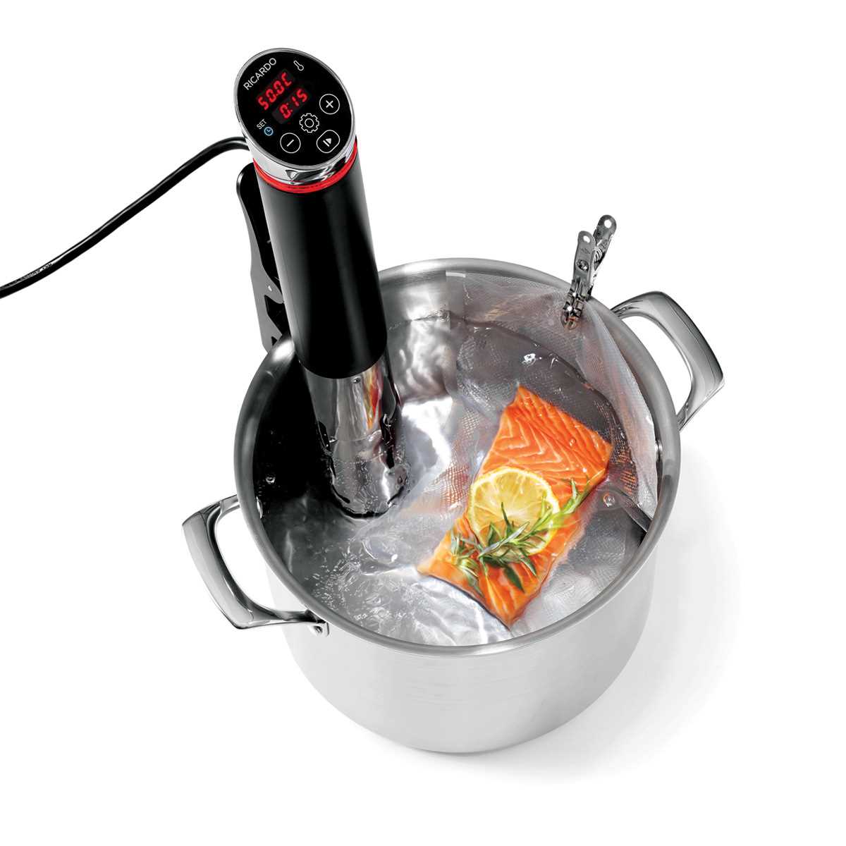 sous vide instruction manual