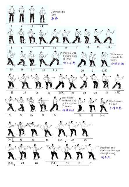 tai chi instruction manual