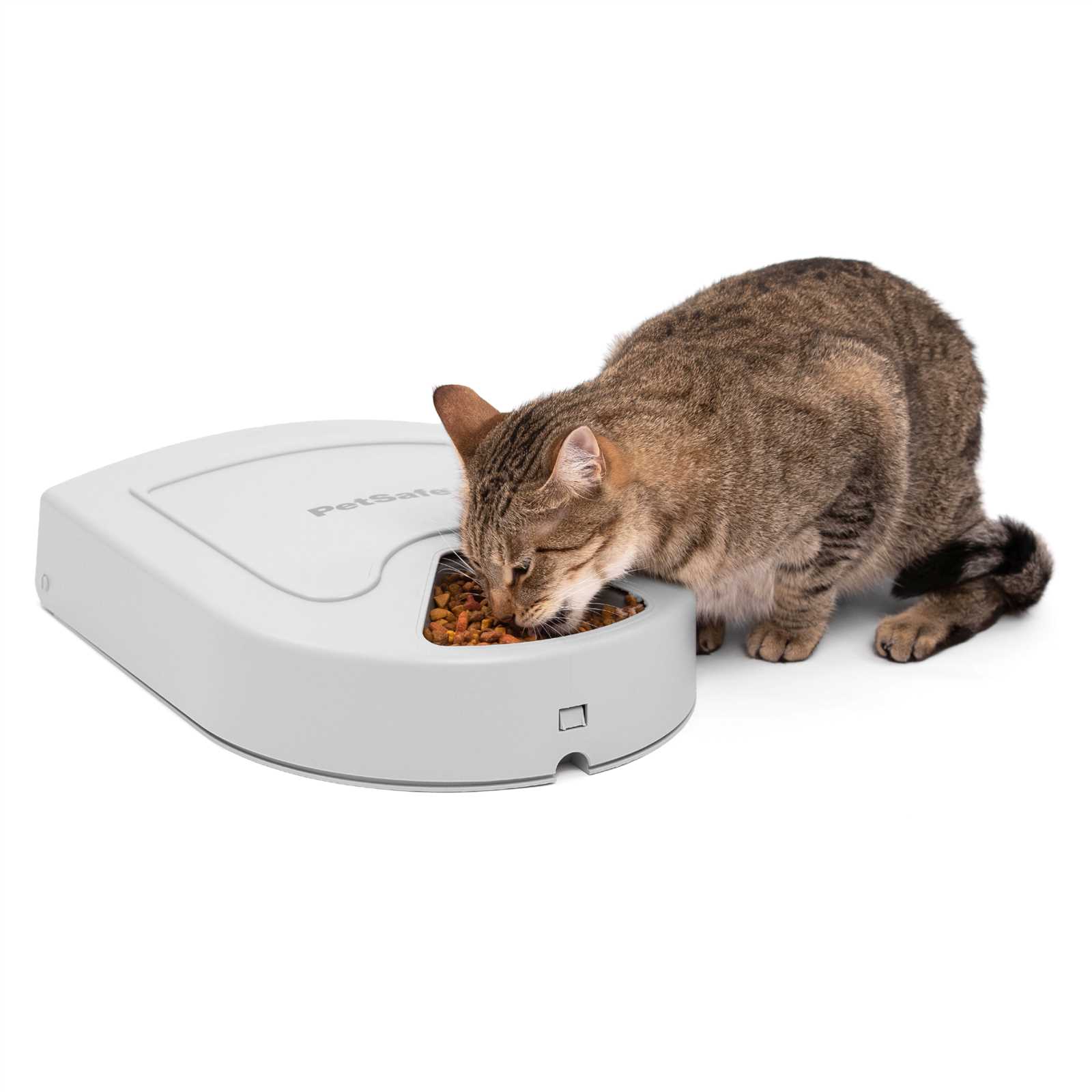 welltobe automatic cat feeder instruction manual