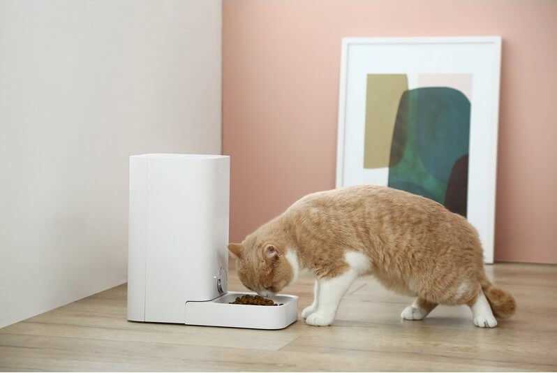 welltobe automatic cat feeder instruction manual