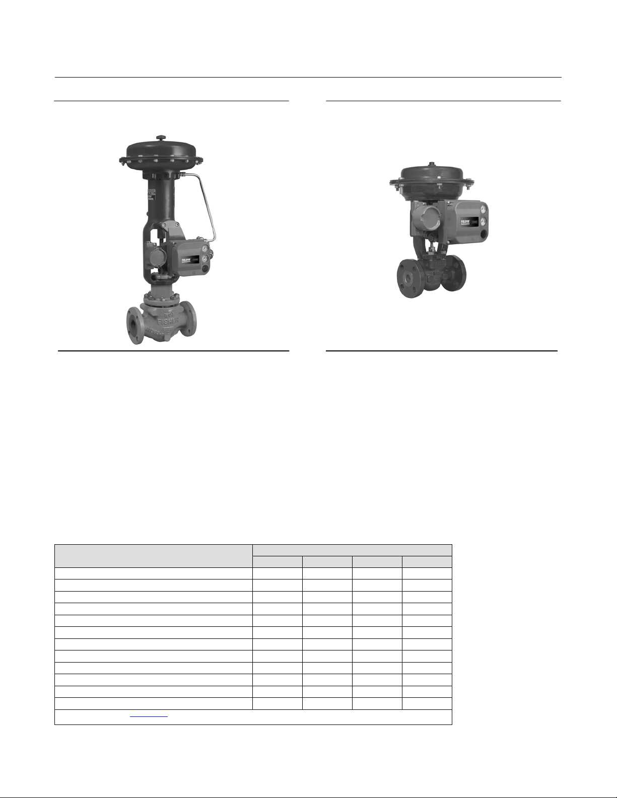 baumann 24000 instruction manual