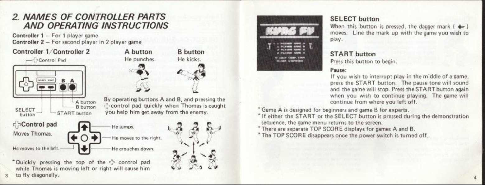 kung fu instruction manual