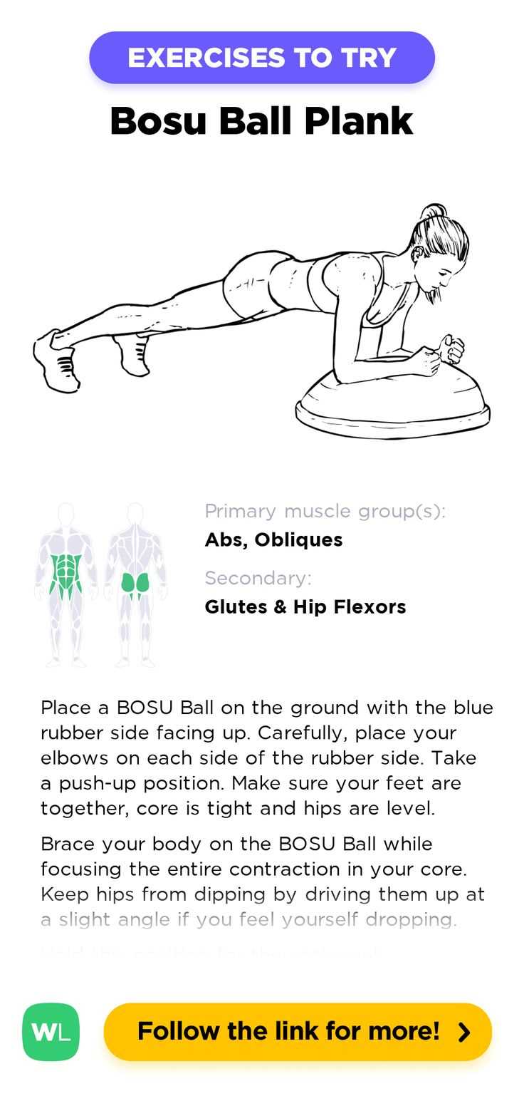 bosu ball instruction manual