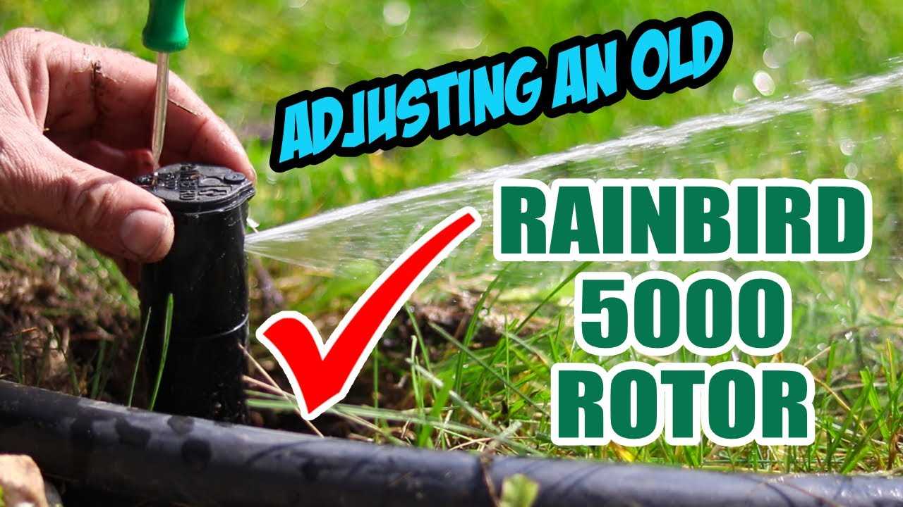 rainbird 5000 instruction manual