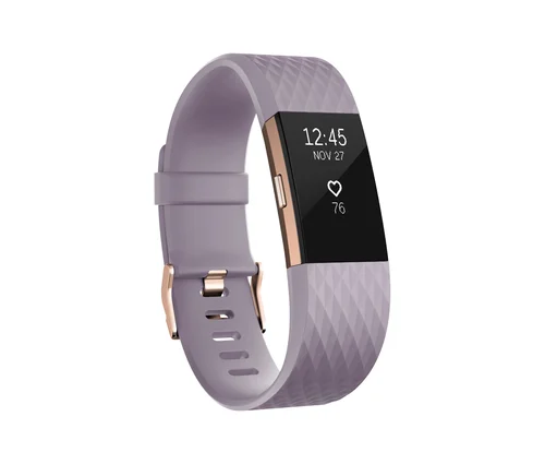 fitbit instruction manual charge 2