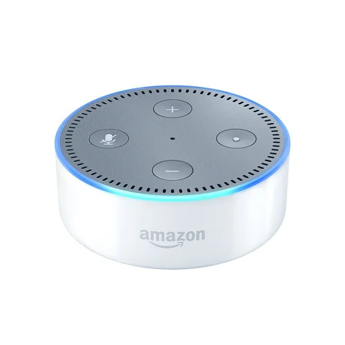 alexa dot instruction manual