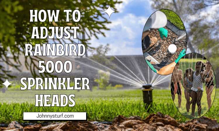 rainbird 5000 instruction manual