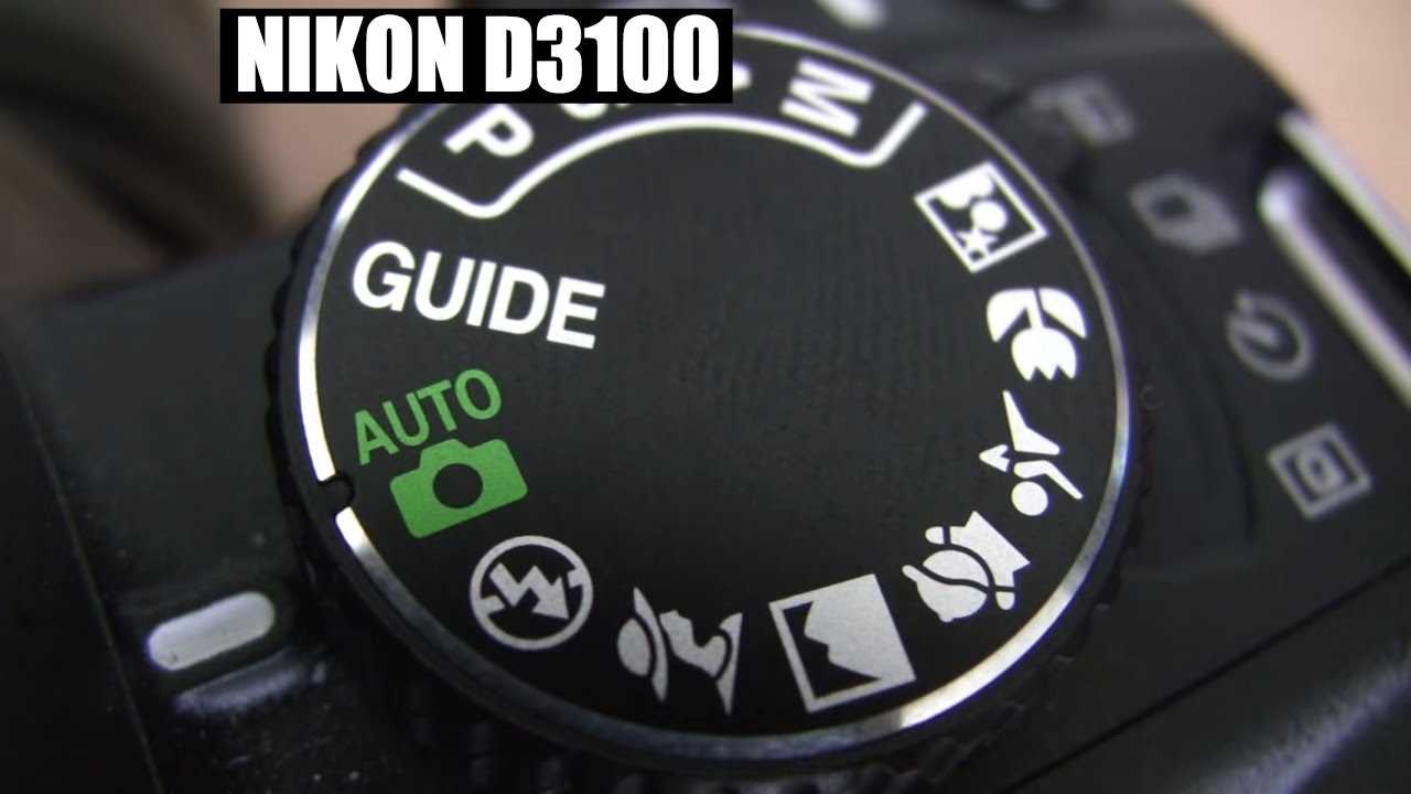 nikon d3100 instruction manual