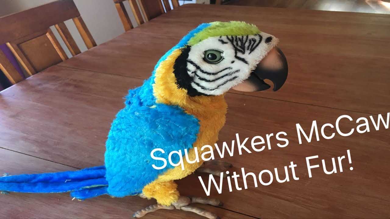 squawkers mccaw instruction manual