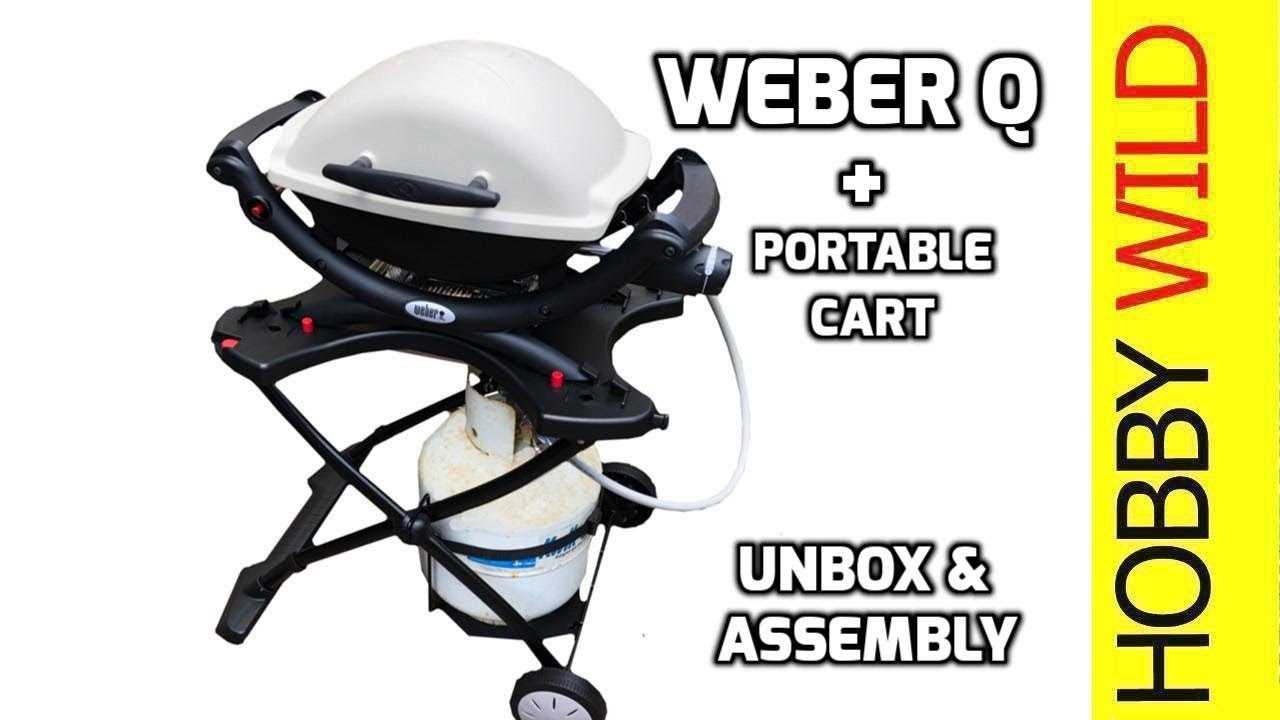 weber q1000 instruction manual