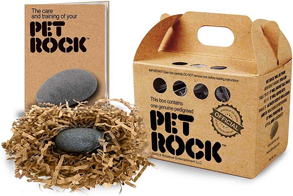 printable pet rock instruction manual