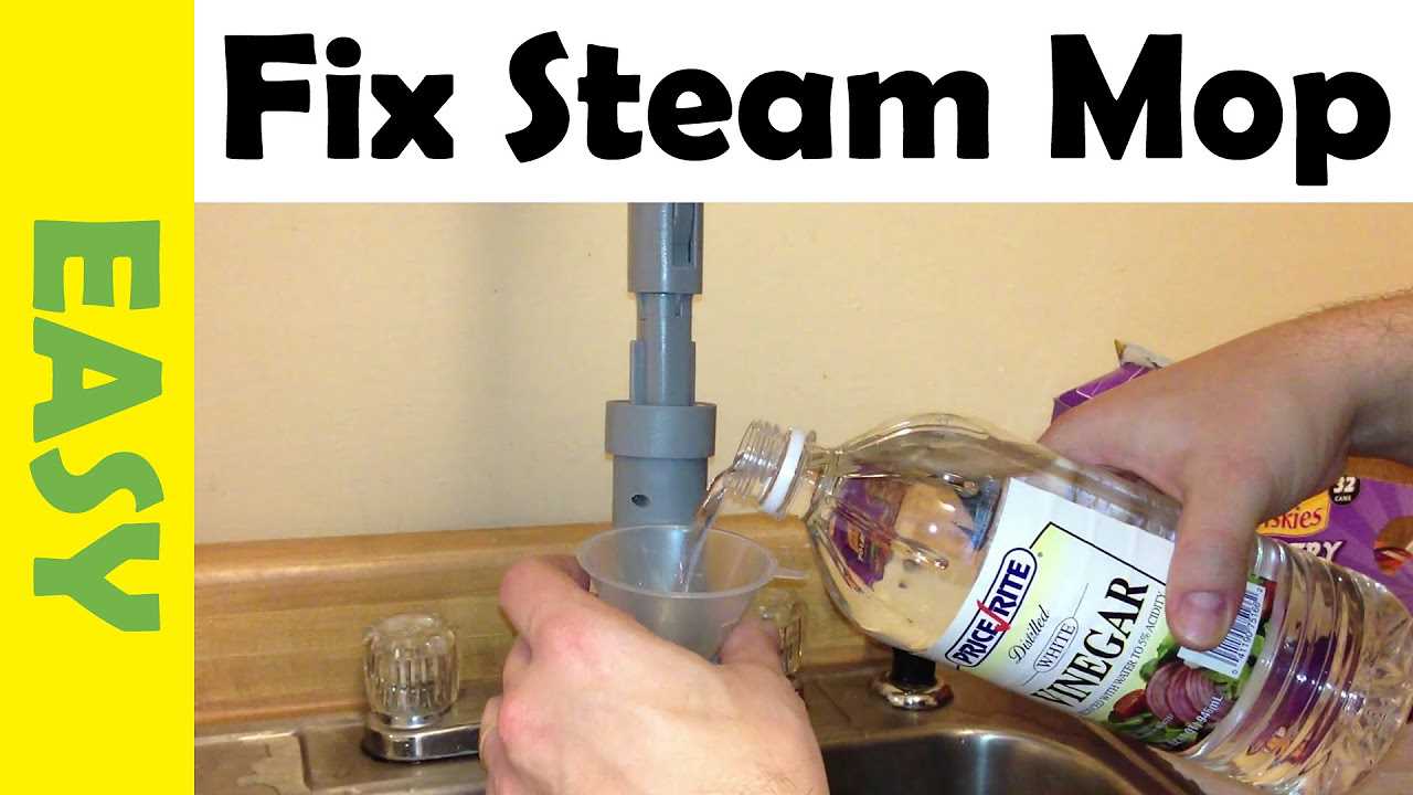 eurosteam green pro steamer instruction manual