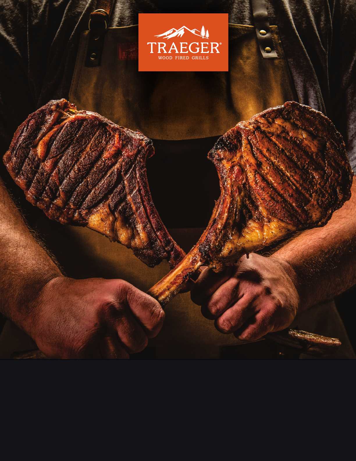 traeger pro 575 instruction manual