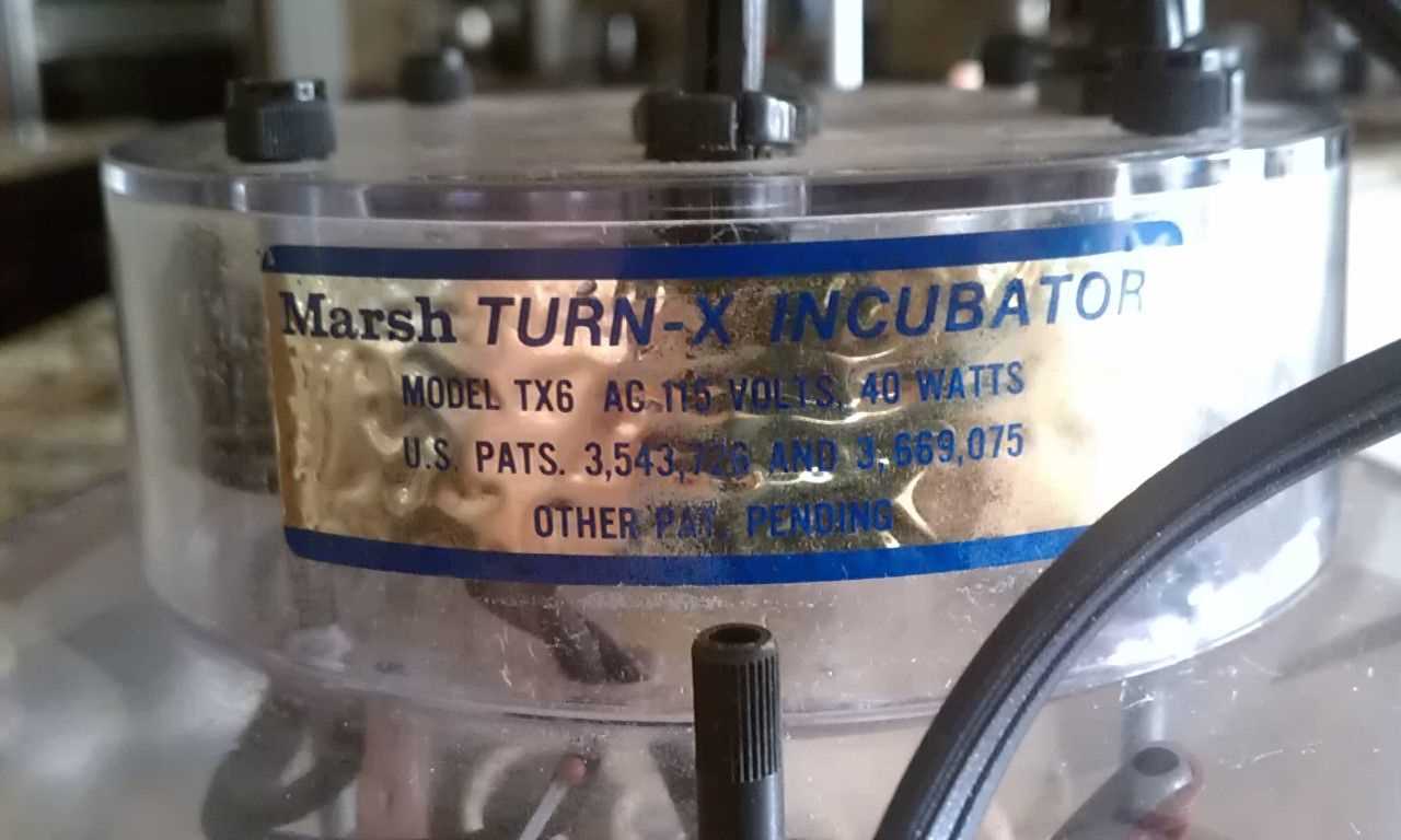 marsh automatic incubator instruction manual