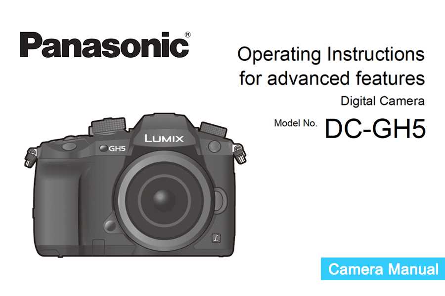 panasonic lumix instruction manual