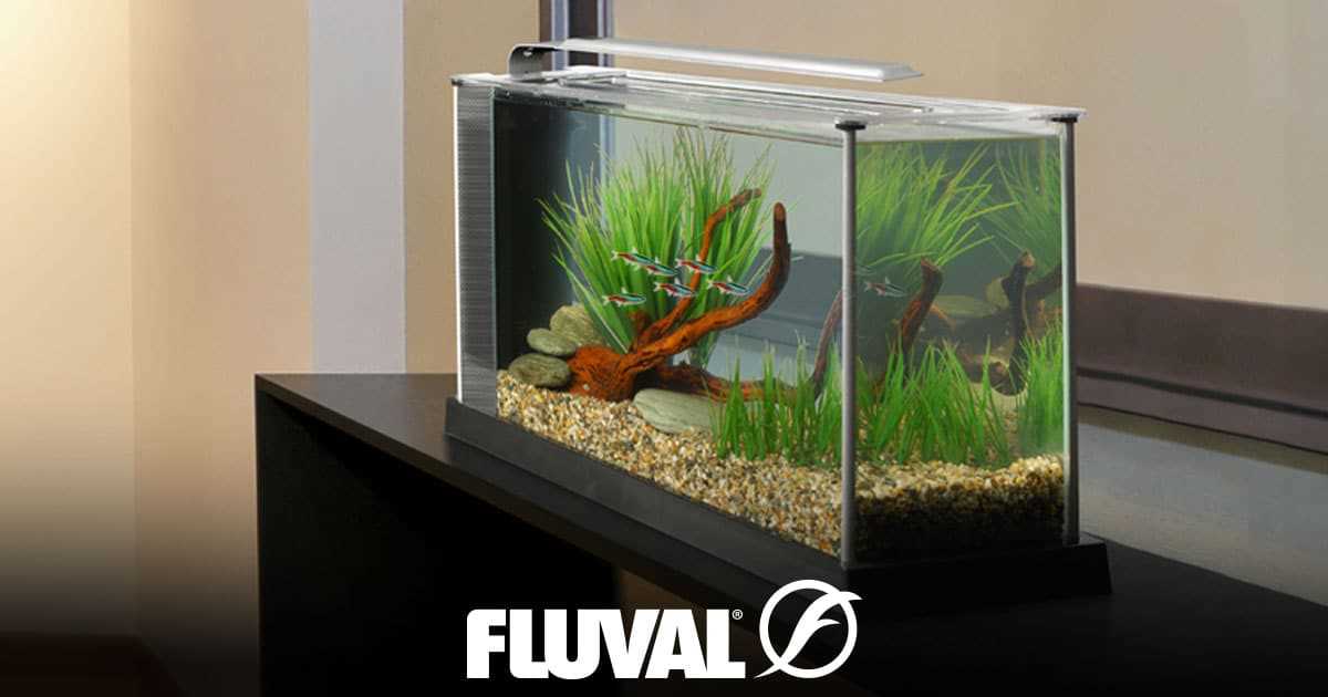 fluval spec v instruction manual