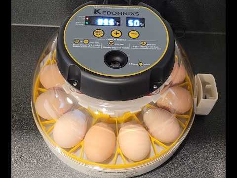 instruction egg incubator manual