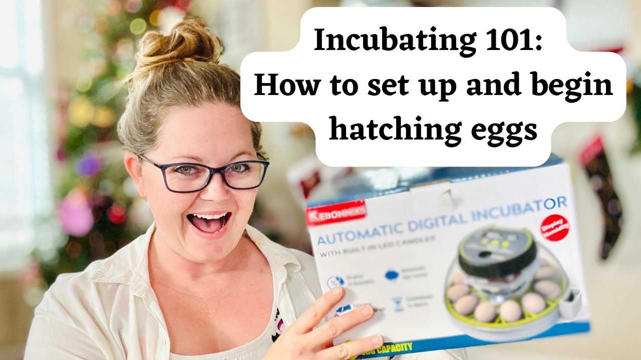 instruction egg incubator manual