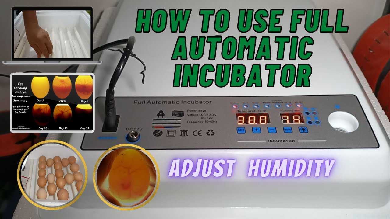 instruction egg incubator manual