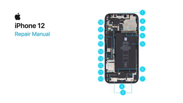 iphone 12 instructions manual