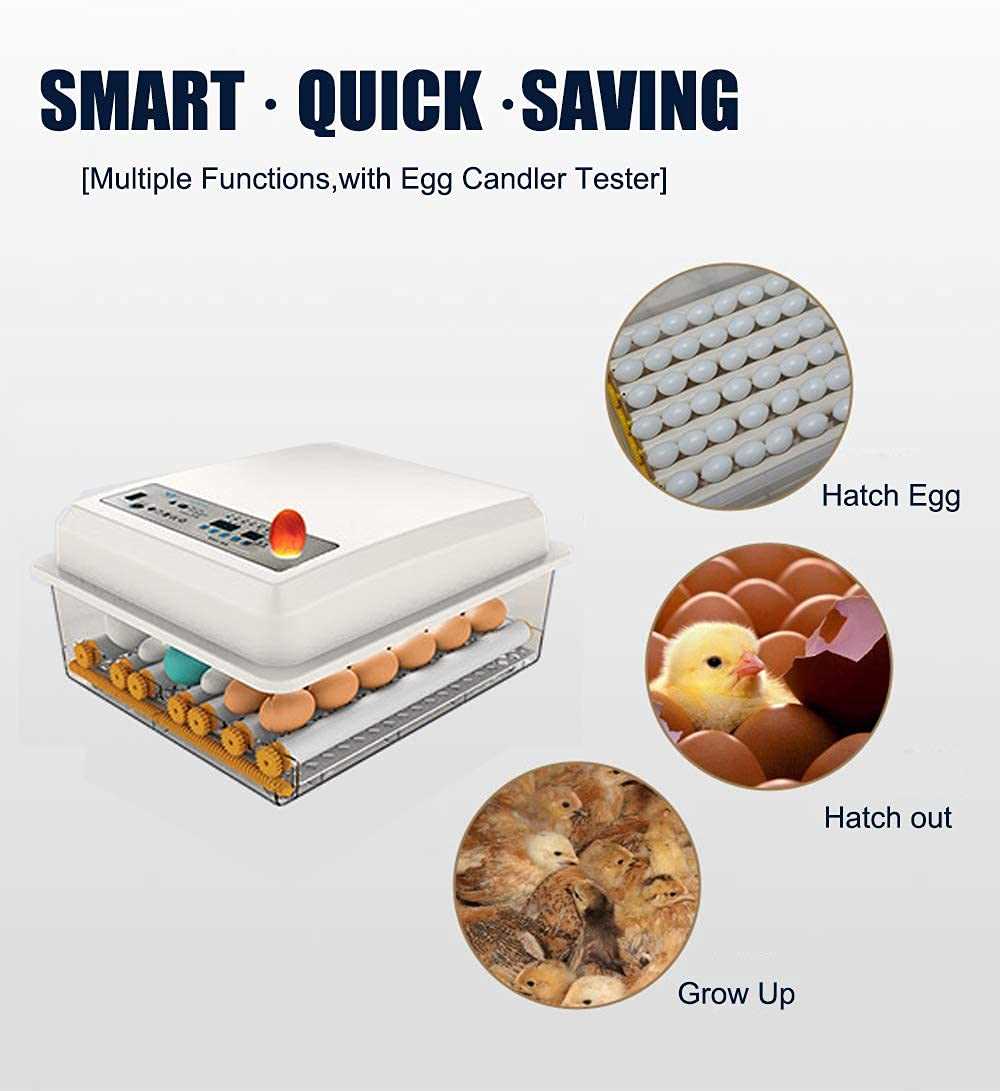 jaedo automatic egg incubator instruction manual