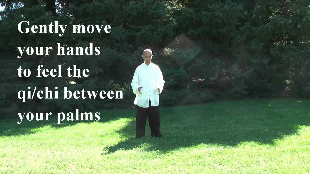 tai chi instruction manual