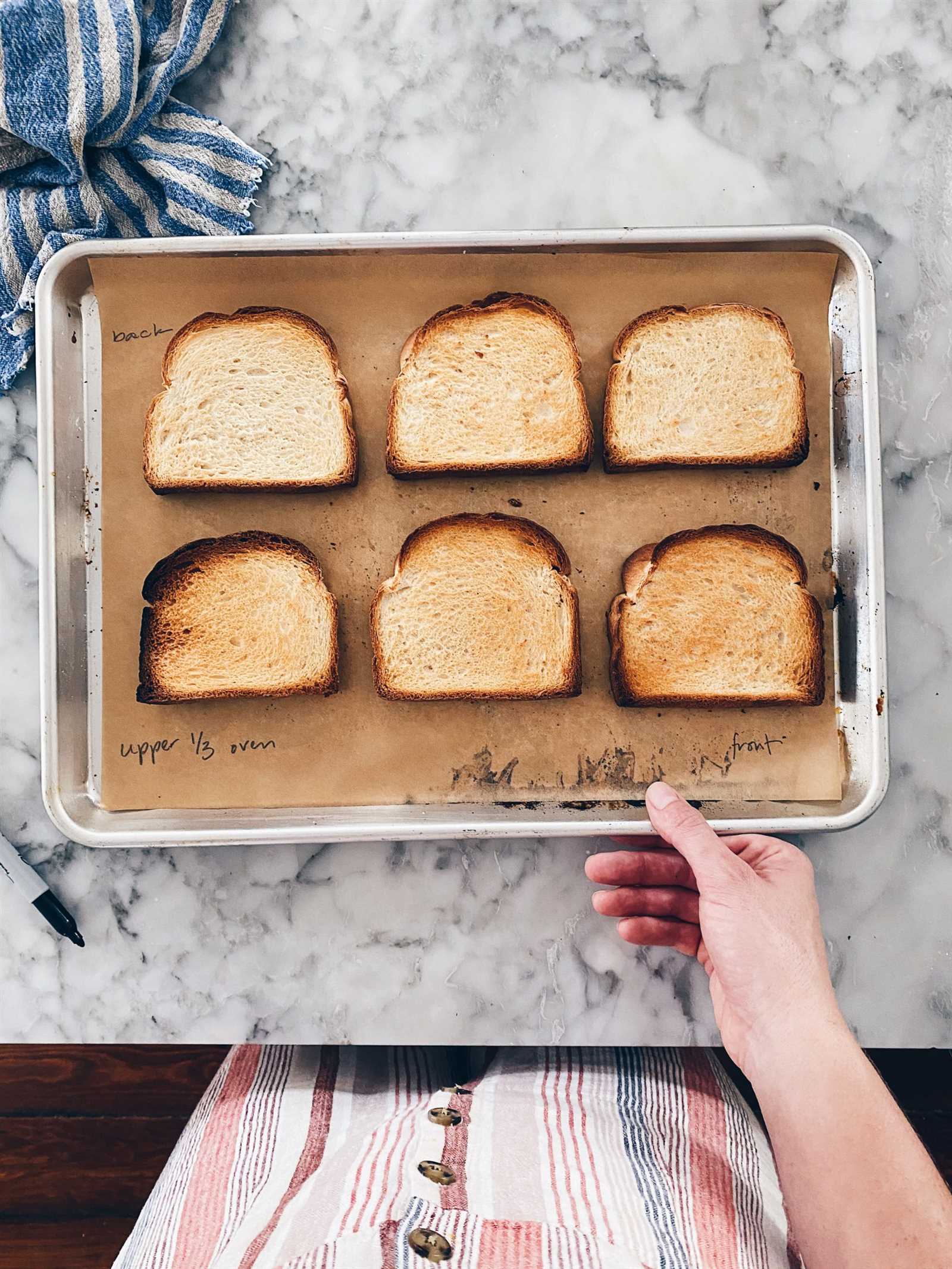 bake a bone instruction manual