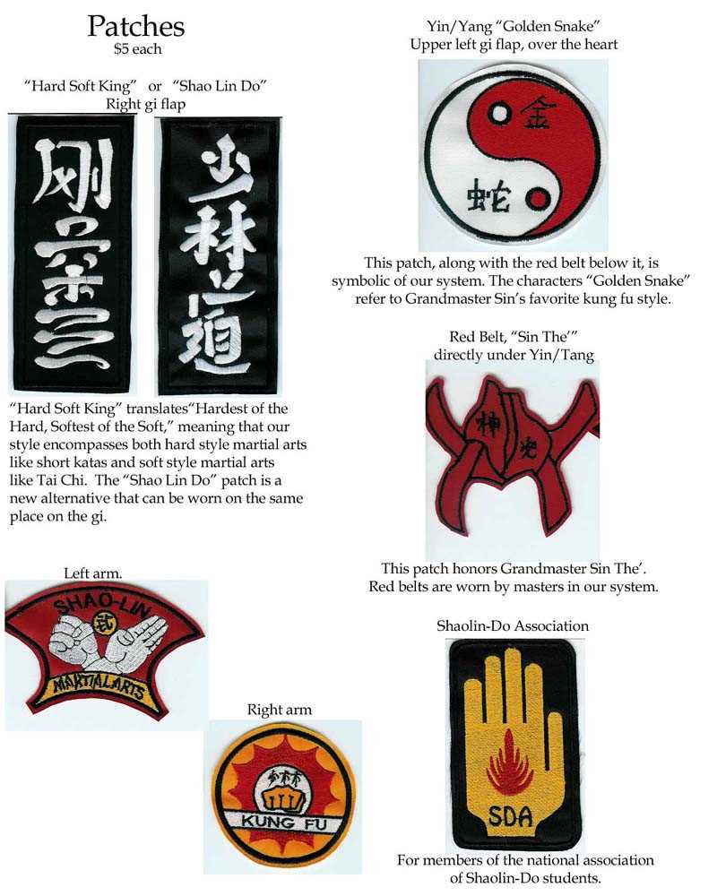 kung fu instruction manual