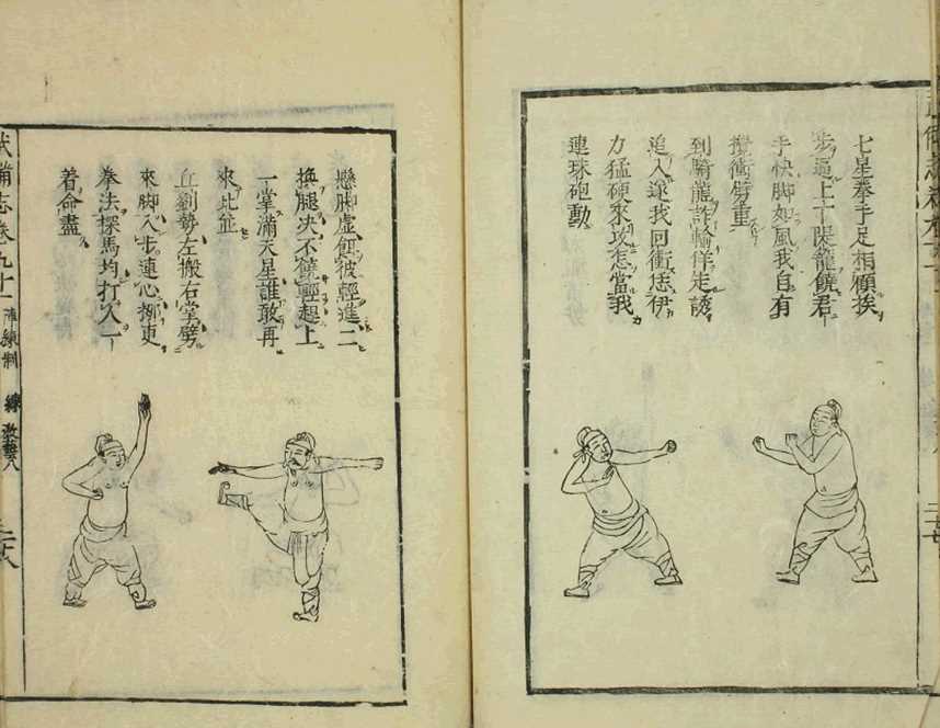 kung fu instruction manual