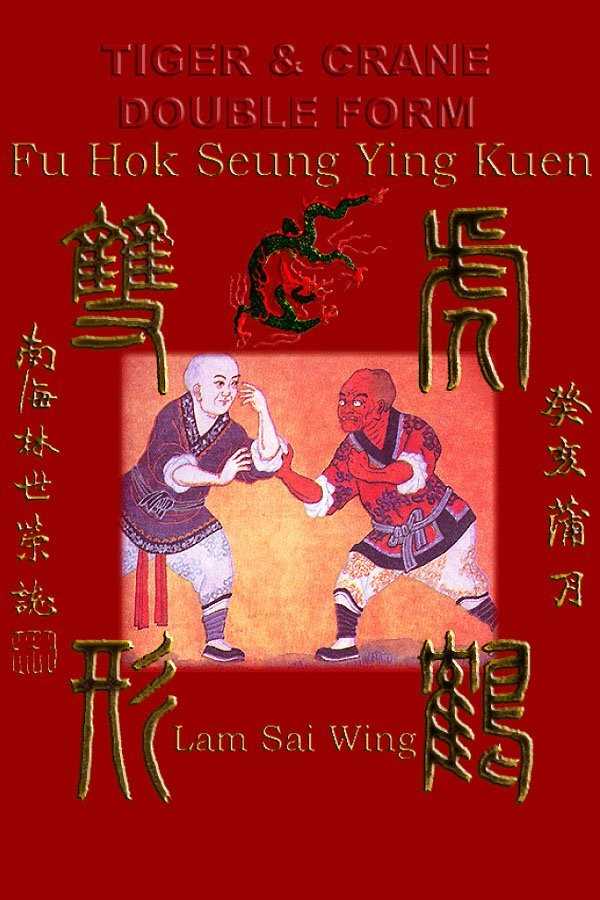 kung fu instruction manual