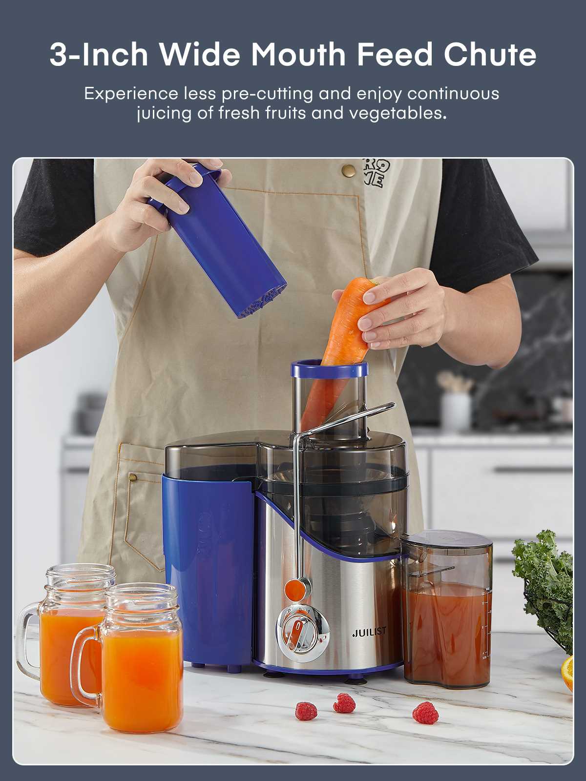 juilist juicer instruction manual