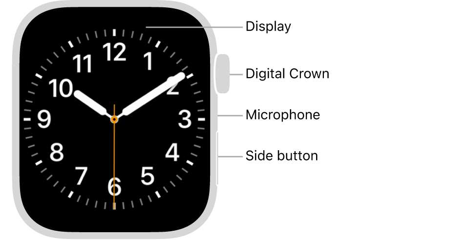 apple watch 6 instruction manual