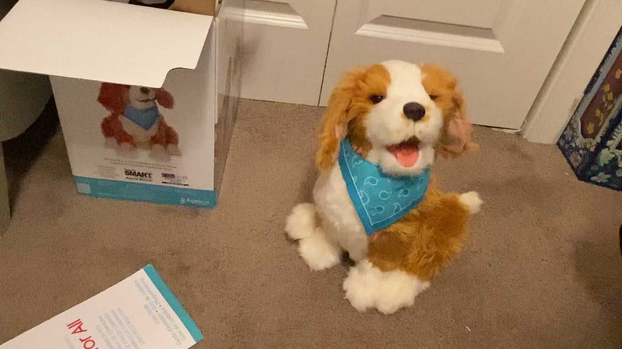 moji dog instruction manual