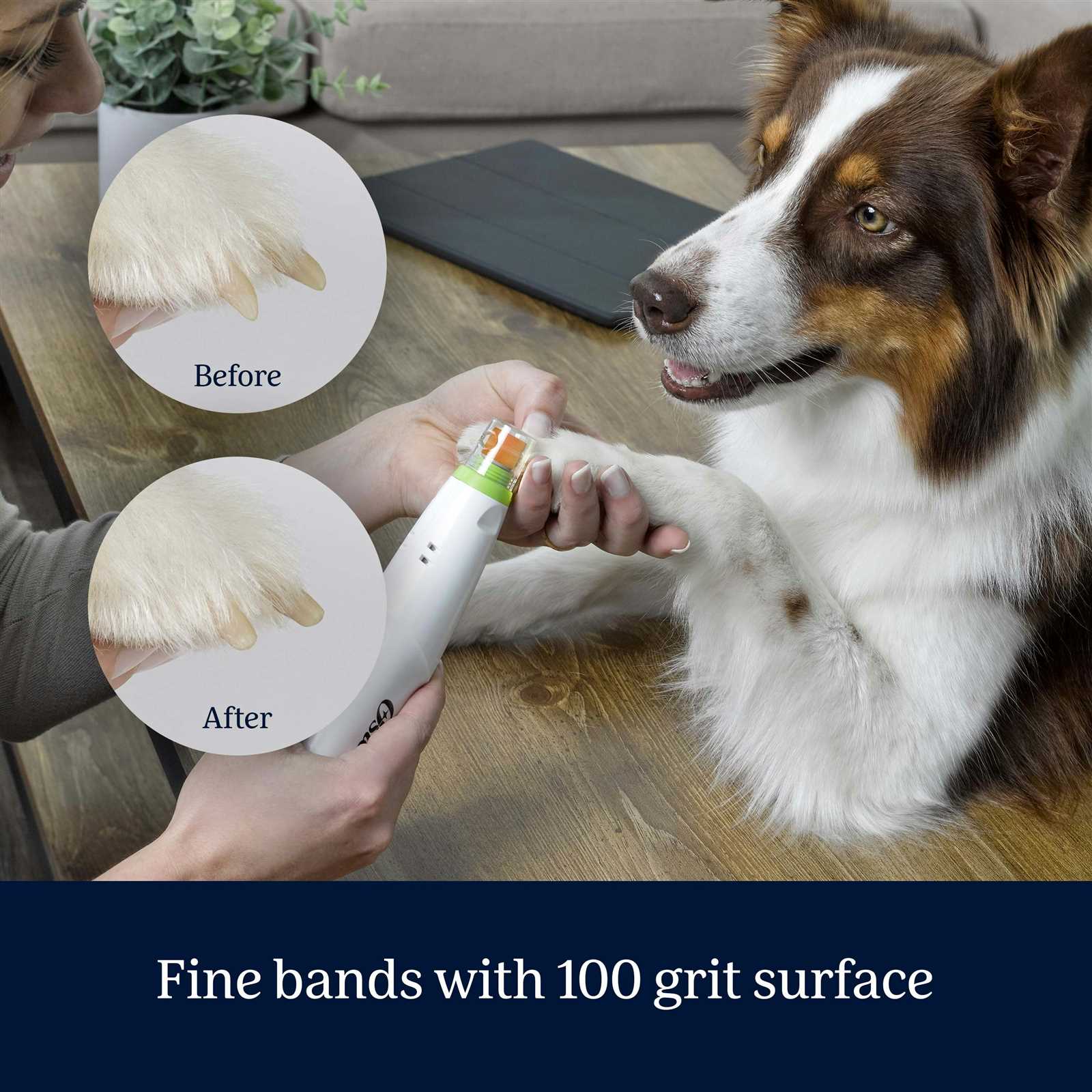 oster gentle paws instruction manual