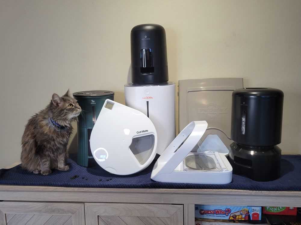 petsafe automatic feeder instruction manual