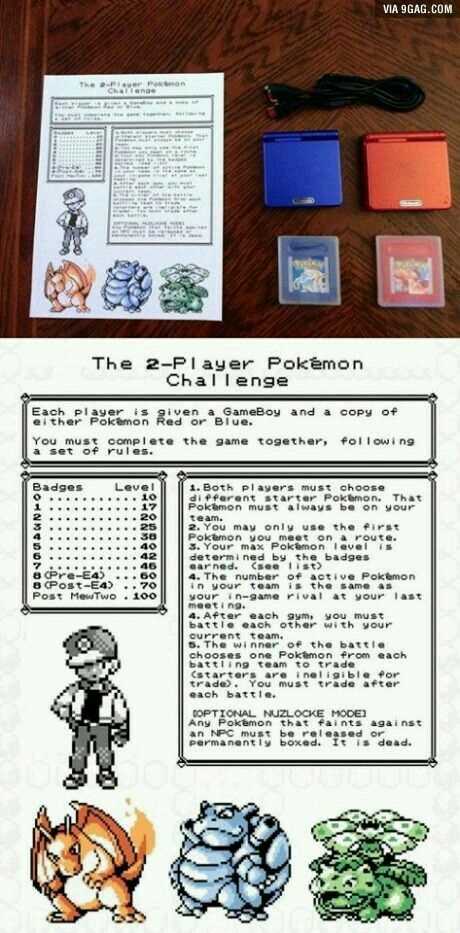 pokemon red and blue instruction manual