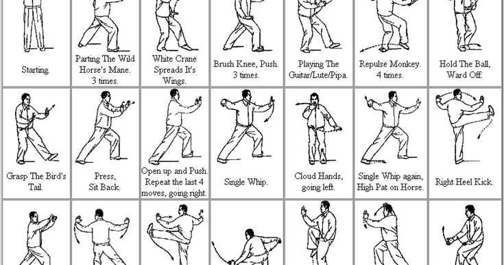 tai chi instruction manual