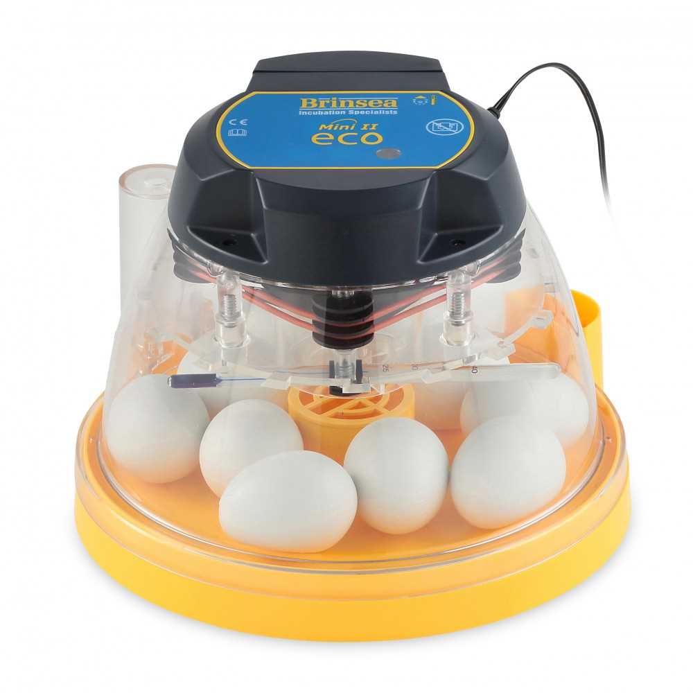 instruction egg incubator manual